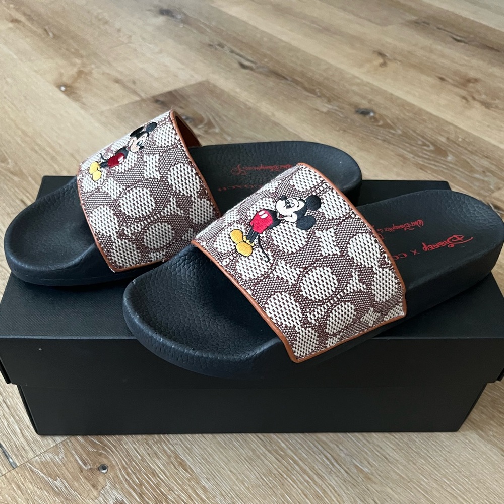 Coach Mickey Mouse Disney Slides